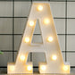LED Alphabet Night Light