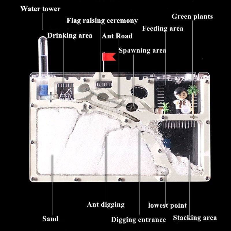 Ant Castle Ecological Insect Box