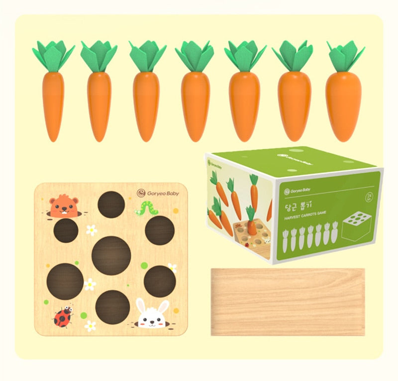 Montessori Carrot Toy