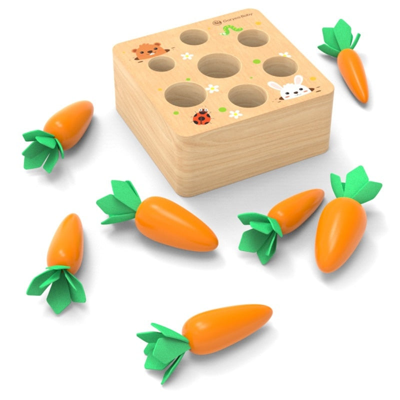 Montessori Carrot Toy