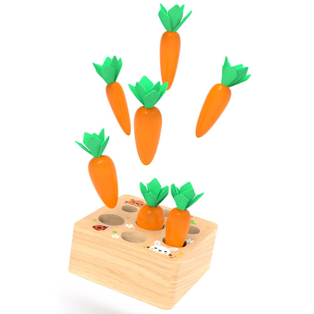 Montessori Carrot Toy